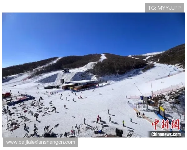 云顶国际网站首页最新资讯全面解析助你快速了解平台动态 云顶国际网站首页最新资讯全面解析助你快速了解平台动态