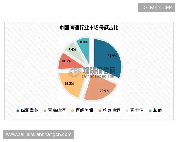 AG九游汇集团全面解析其在网络游戏行业中的市场布局与发展战略