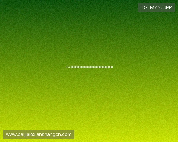 EVO真人娛樂場的客户服务体系详解，提供全方位的在线支持与帮助