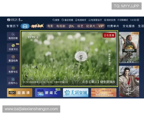 真人视讯登录入口安全稳定,轻松畅享高清娱乐体验 真人视讯登录入口安全稳定,轻松畅享高清娱乐体验