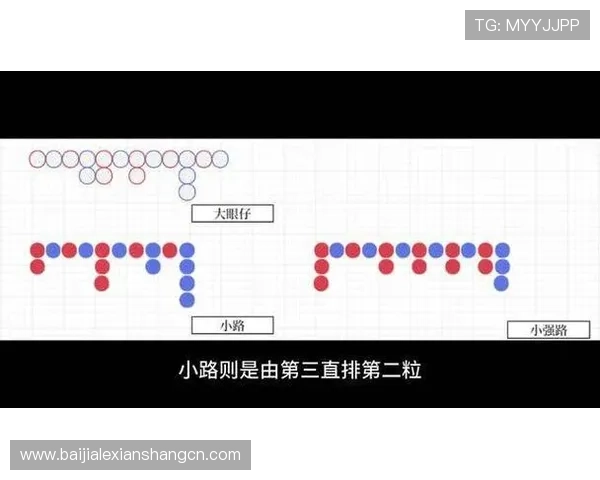百家乐下三路图片的详细介绍及实战应用方法帮助玩家优化投注决策 百家乐下三路图片的详细介绍及实战应用方法帮助玩家优化投注决策